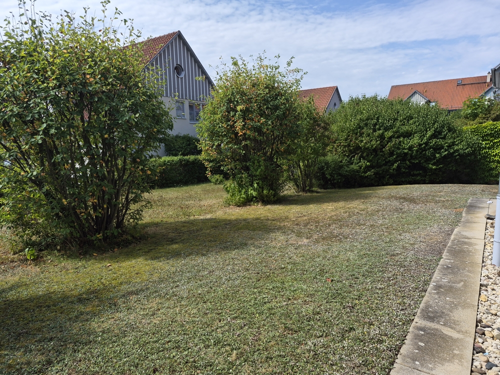 Garten Garten
