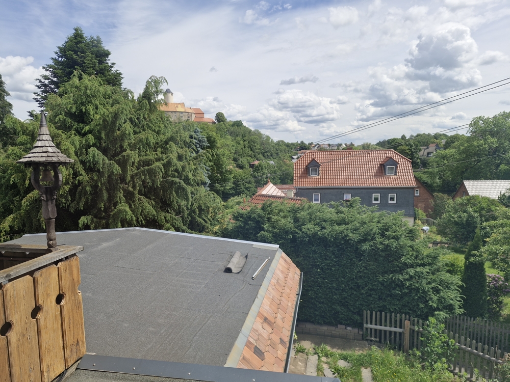 Ausblick auf Burg